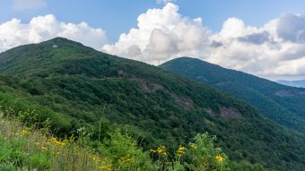 Incoming Storm at Craggy Gardens