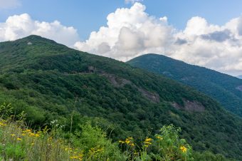 Incoming Storm at Craggy Gardens