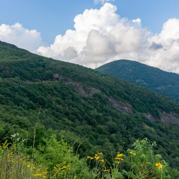 Incoming Storm at Craggy Gardens