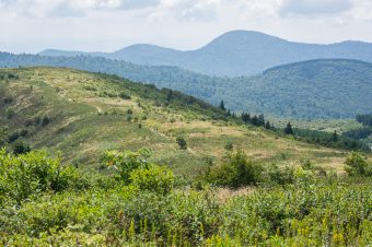 Late Summer on Black Balsam and Sam Knob