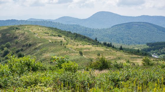 Late Summer on Black Balsam and Sam Knob